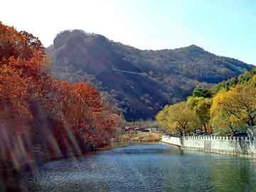 管家婆黑白马报图库，节能灯补贴